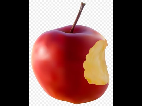 Лекция 2. Американский дескриптивизм. ЗА и ПРОТИВ.