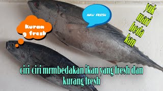 tips/cara memilih ikan yang bagus(fresh)kurang bagus(ikan tongkol)
