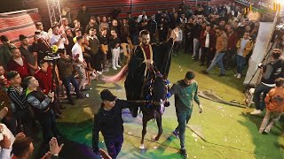 اجمل استقبال على الخيل رووعة 🏇🏻🏇🏻 مع الفنان ابو زكي بورو 🔥🔥 مهرجان فادي النتشة - T.Alakaber🔴🔝
