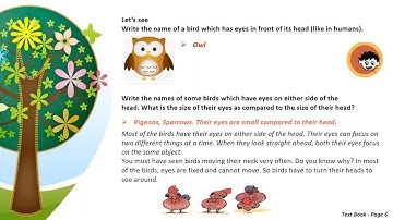 CBSE  - Class 5 - EVS chapter 1 - Super Senses -  Part 3  - Sense of Sight
