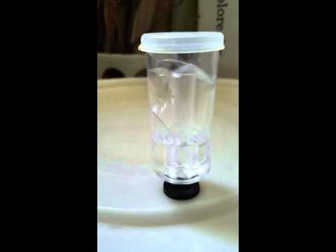 Video C6 H12 O6 - yeast - 2 C2 H5 OH + 2 CO2 - youtube