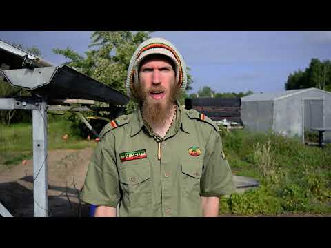 Ras Daan Jah Farmer Man Official Music Video 2025 