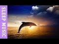 Tranquil Meditation Deep Sleep Music: Go for Peaceful Relaxation (3 hours)