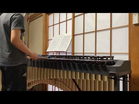 Summer  久石　譲　マリンバ　Rina音楽教室　秦野市マリンバ教室