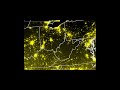 June 29 2012 - Power Outages (Nighttime Satellite Animation)