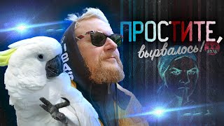 4.06.24 | Новости: «Простите, вырвалось!» №23 | Пояснительная Бригада