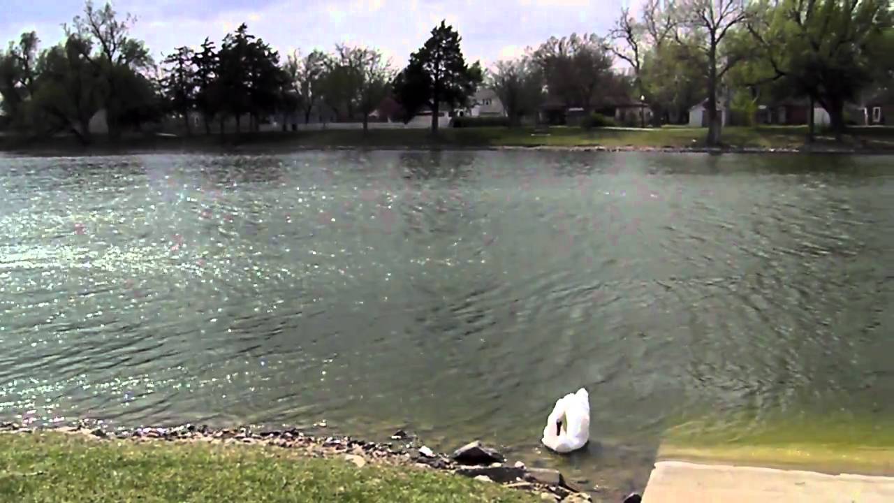 Sterling City Lake Sterling, KS.MP4 YouTube