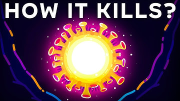 How Covid-19 Works In 10 Minutes