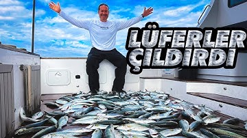 ⭐ Boğazda 300 Lüfer!🎣Ustaların Gizlediği Lüfer Yakalama Bilimi🔥