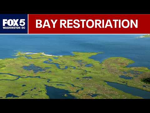 Trump administration revokes executive order on Chesapeake Bay restoration