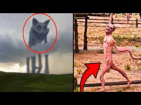 44 Cosas Aterradoras Encontradas En Google Maps