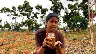 Soil Jar Test