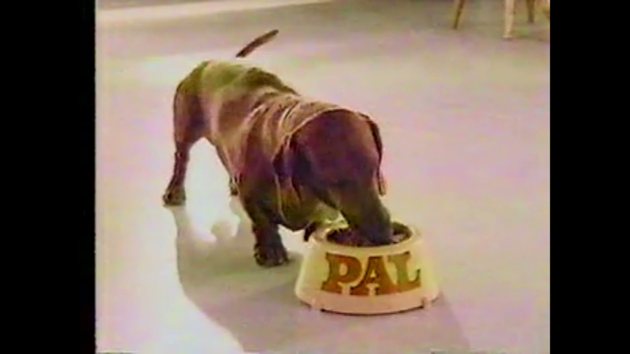 1985 Pal Dog Food TV Commercial YouTube