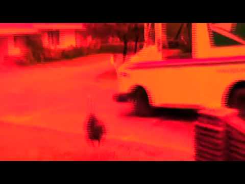 Zombie Turkey (Metal Version) (1057)