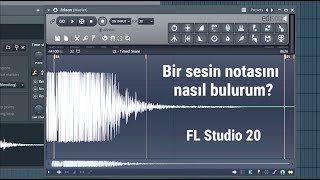 FL Studio üzerinde bir Sample'ın kök notası NASIL bulunur? (FL Studio Türkçe)