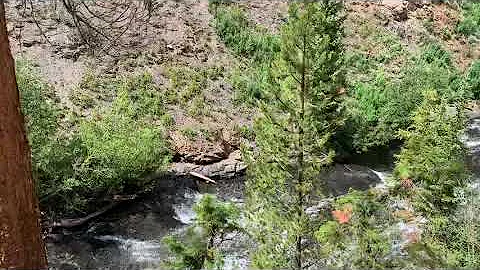 Oh Be Joyful creek Colorado