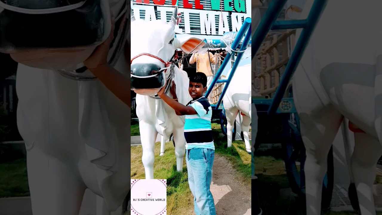 2 giant cow statues @hotel halli mane 