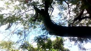 Clima Tempo Rj 27 de abril continuação @ClimaTempo Rj