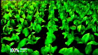 RCTI La Menthol 23 55