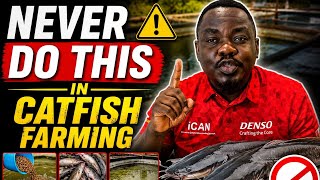 Never do this in Catfish fish #fishfarming #fishing #fish #catfishfarming #catfish