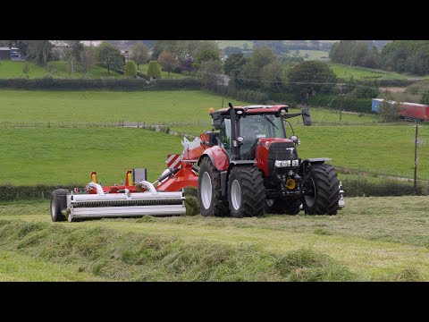 Donkey tries his hand at merging in the Case 175