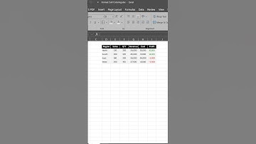 Custom Color in Excel Format Cells. #ExcelTips #ExcelHacks #Shorts
