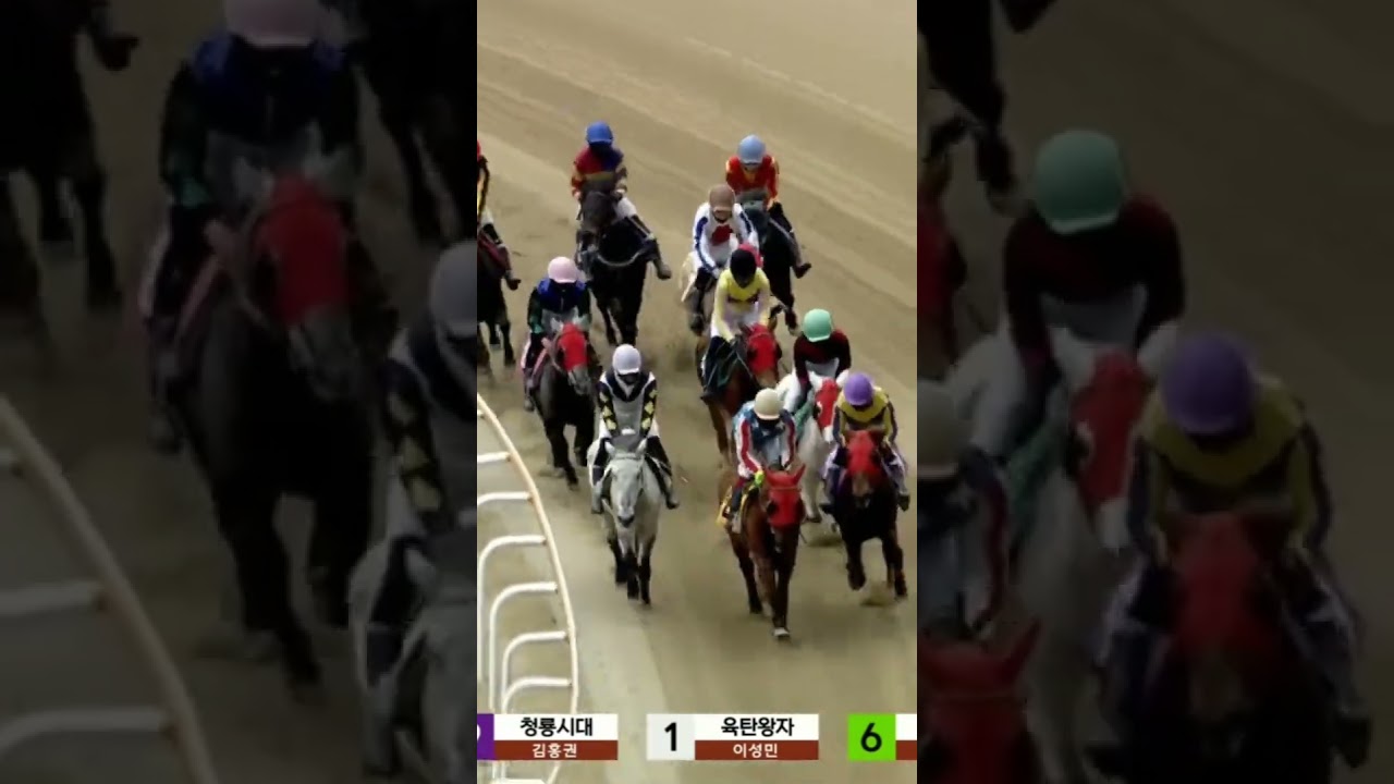 15배적중8-9복연승저배당
