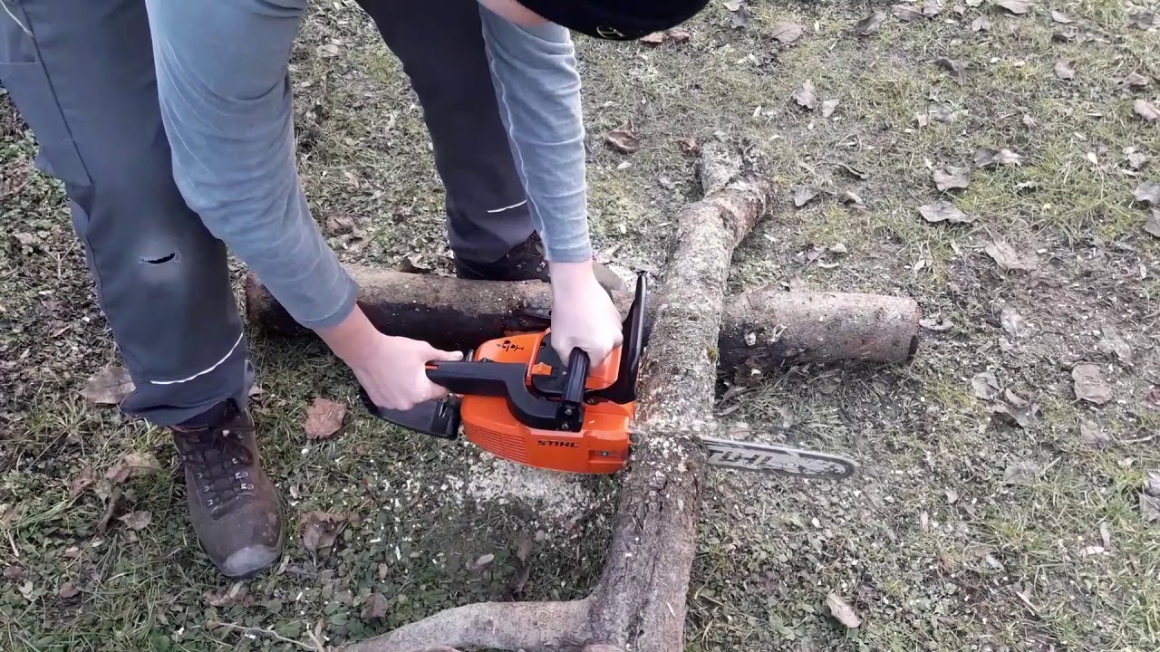 Stihl 010 AV, Testschnitt YouTube — free download
