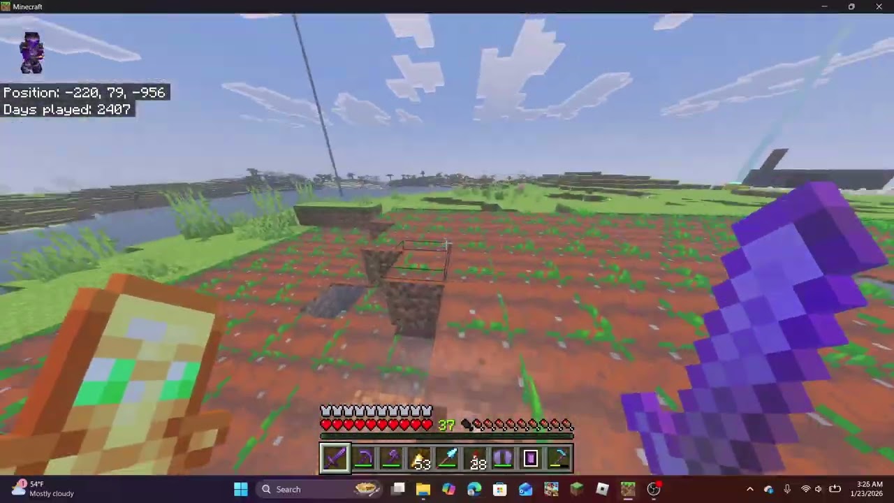 the bigest carrot farm on the realm this is