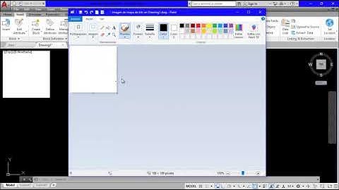 Insertar imágenes OLE