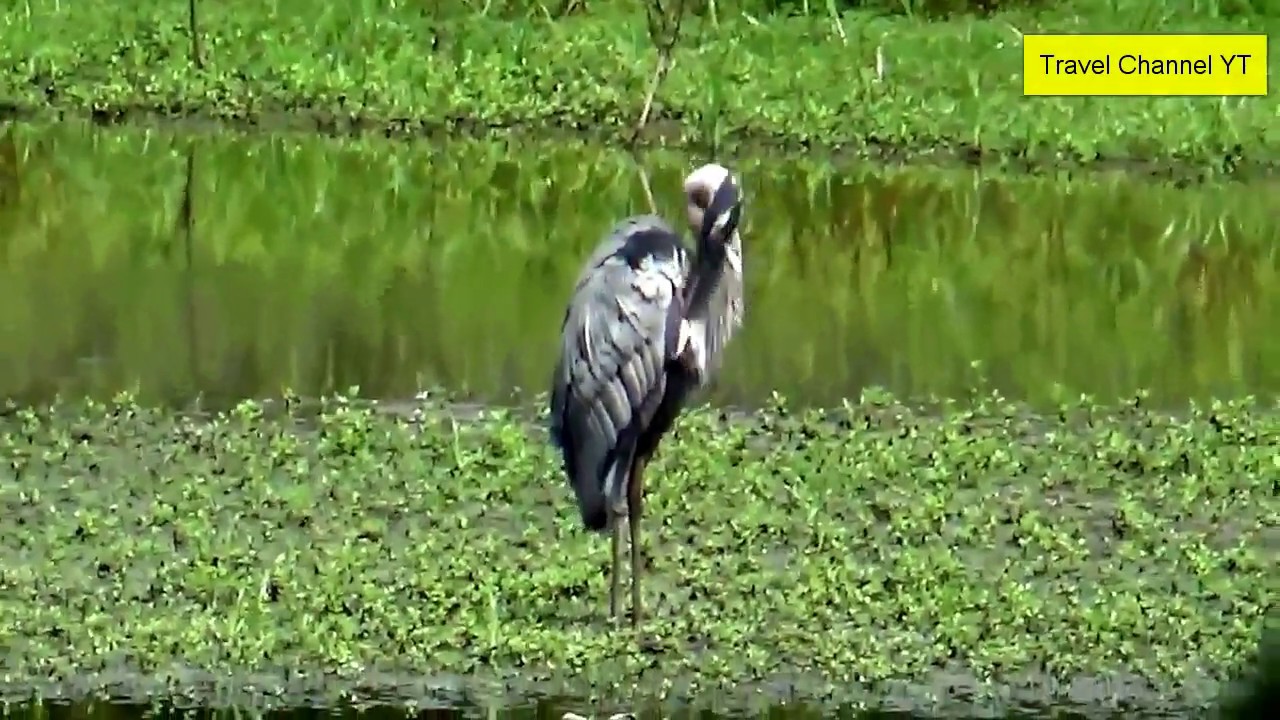 Palmyra Cove Nature Park Lakes, Burlington County, NJ
