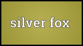 Silver fox Meaning