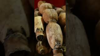 Tuần Lễ Văn Hóa,Du Lịch, Ẩm Thực Đồng Nai Năm 2024