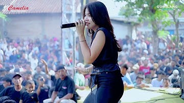 CAMELIA MUSIC - SEBUAH JANJI - DINDA TERATU - ANNIVERSARY CAHPOSINX - PENDEM KEMBANG JEPARA