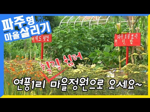 [파주읍 마을살리기] 힐링 쉼터, 연풍1리 마을정원으로 오세요~