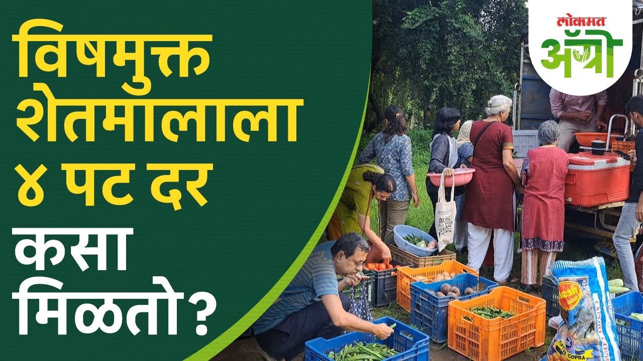 थेट शेतकरी ते ग्राहक विषमुक्त शेतमाल विक्री! शेतकऱ्यांना असं होता येणार सहभागी | Maharashtra Farming