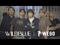 WILD BLUE×WEGO COLLABORATION