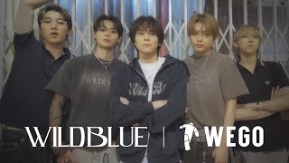 WILD BLUE×WEGO COLLABORATION