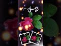 ✨♥️FARMAN-E-MOULA ALI A.S♥️🫰🏻✨🙌🏻#moulaaliع #islamic#viral#poetry#shorts#youtubeshorts @NIMRAARAZA