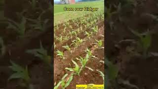 Corn row ridger