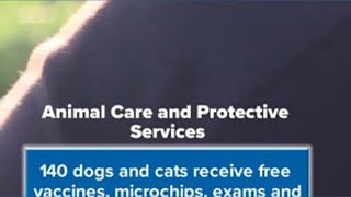 140 pets receive care at free Jacksonville ACPS clinic