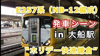 E257系（NB-12編成）“ホリデー快速鎌倉” 鎌倉行き電車 大船駅を発車する 2019/01/06