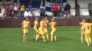 Goalsstagsvoice