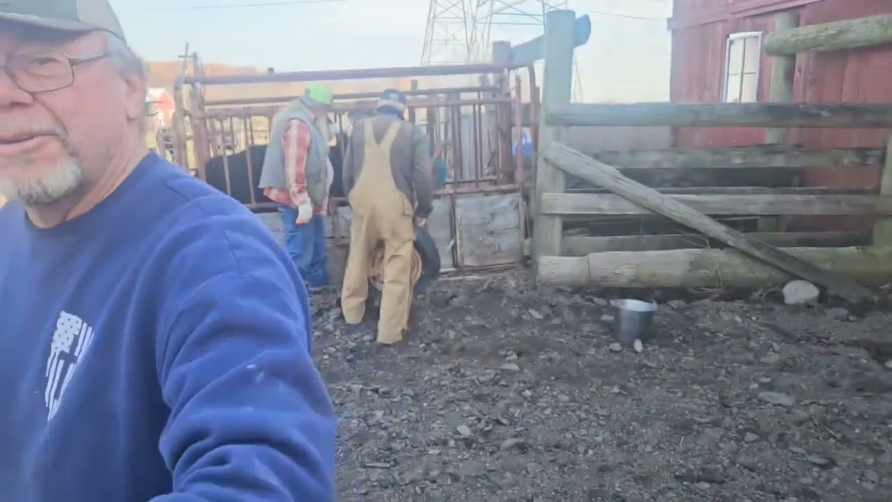 Как выглядят настоящие скотоводы