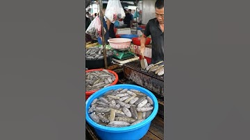 Asian Market: Grilled Sea Cucumber Satay & Fresh, Nutritious Live Sea Cucumbers.@darmawanfood-ai