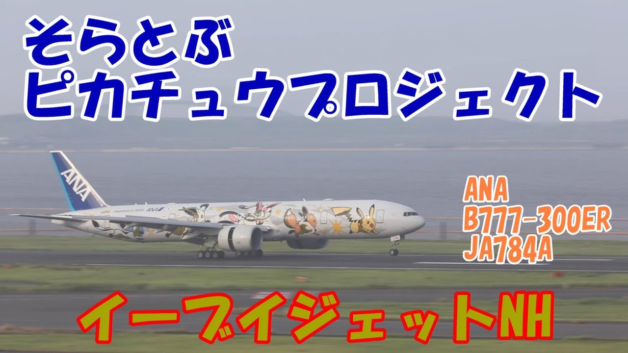 そらとぶピカチュウプロジェクト イーブイジェットNH ANA 第2弾 特別