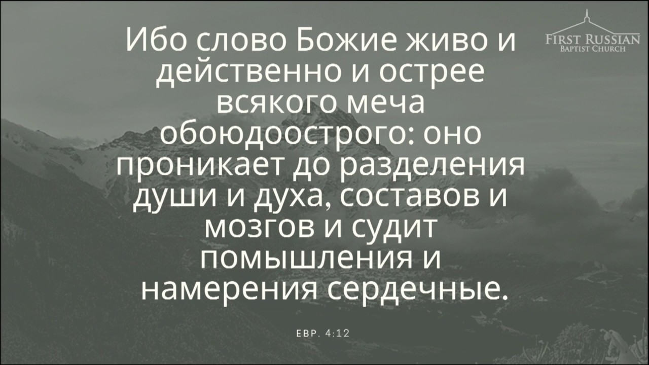 March 17, 2019 - Sunday Morning. camera iphone 8 plus apk