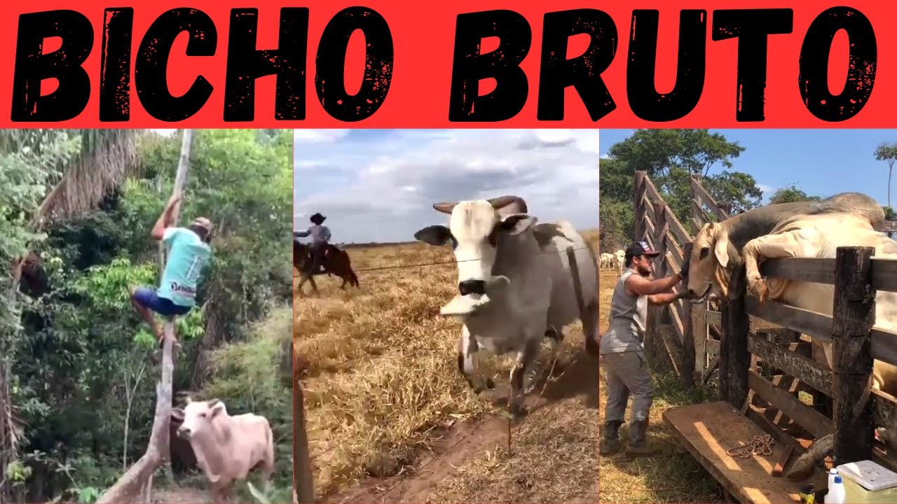 НЕЛОРА есть НЕЛОРА. Жестокий и кроткий!