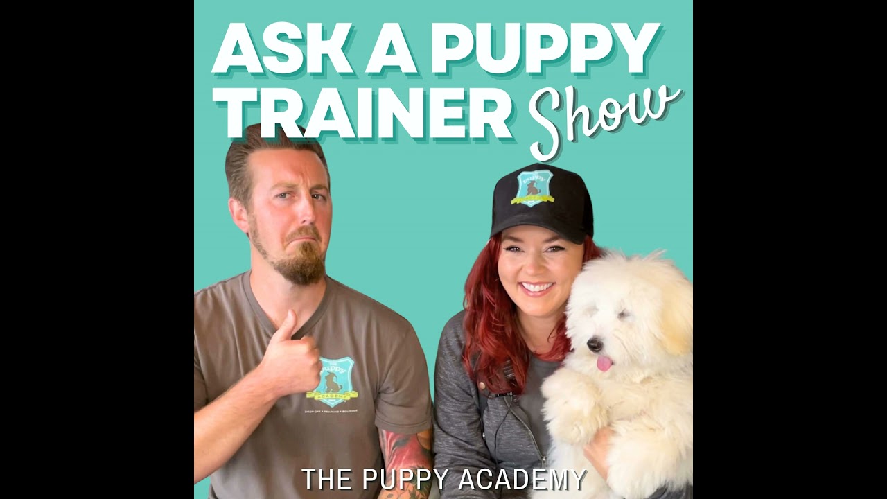 New Puppy Crate Training Tips! | Ep. 198