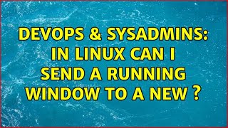 DevOps & SysAdmins: In Linux can I send a running window to a new $DISPLAY? (3 Solutions!!) Net Worth